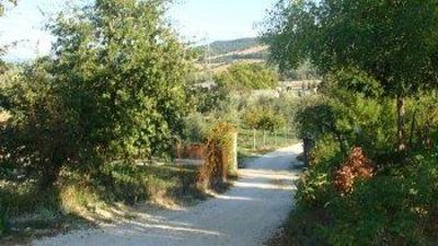 фото отеля Bed & Breakfast Il Roseto