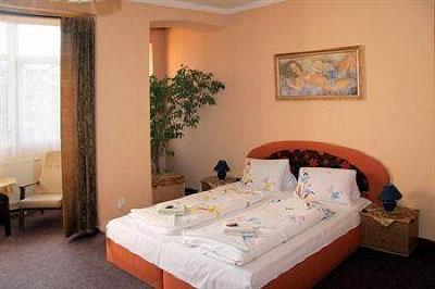 фото отеля Hotel Bayer Plzen
