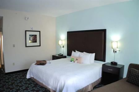 фото отеля Hampton Inn & Suites Nashville @ Opryland
