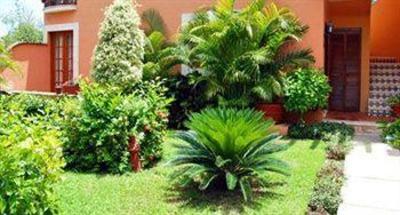 фото отеля Hacienda San Miguel Hotel Cozumel