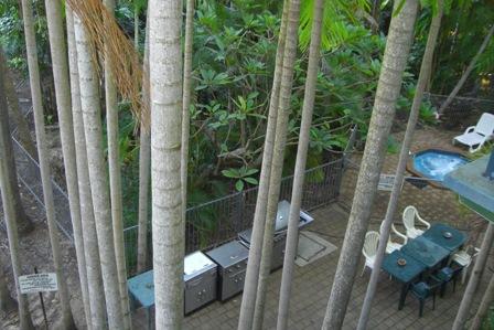 фото отеля Banyan View Lodge