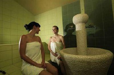 фото отеля Istrian Spa Istarske Toplice Resort Livade