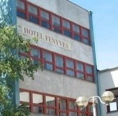 фото отеля Fenyves Hotel