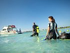 фото отеля Couples Negril