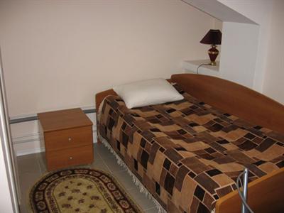 фото отеля Mini Hotel Zvezdny