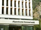 фото отеля BMW Alpenhotel Ammerwald