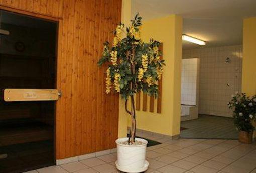 фото отеля Flair Hotel Company