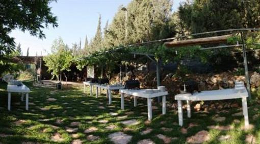 фото отеля Tur Sinai Organic Farm Resort