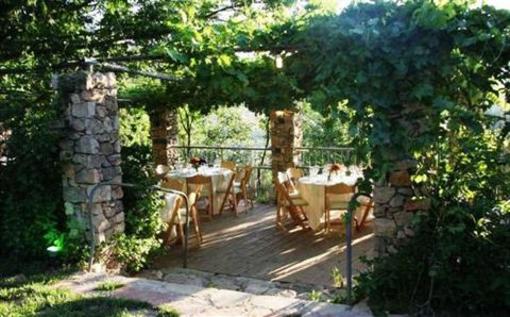 фото отеля Tur Sinai Organic Farm Resort