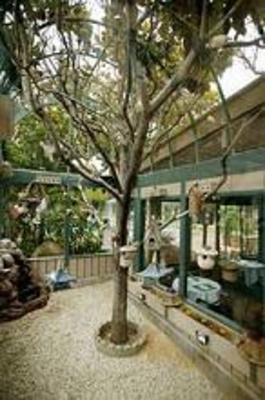 фото отеля BEST WESTERN PLUS Encina Lodge and Suites