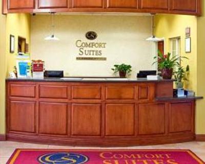 фото отеля Comfort Suites Schaumburg