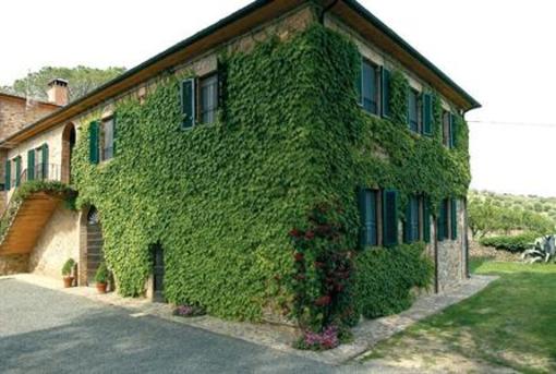 фото отеля Tenuta Il Cicalino & Parco Dei Lecci