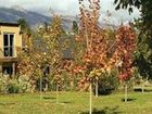фото отеля Maple Lodge