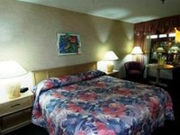 Esther's Inn