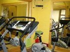фото отеля Wild Olive Guest House