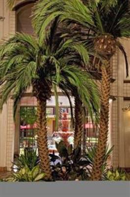 фото отеля Embassy Suites Hotel Palm Desert Resort