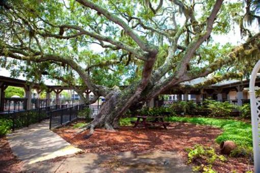 фото отеля Legacy Vacation Resorts-Palm Coast