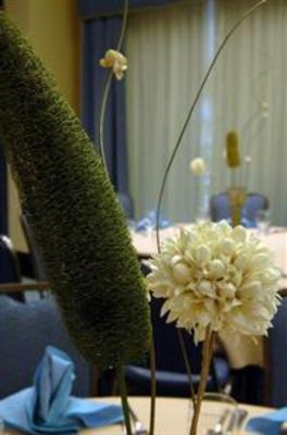 фото отеля Hilton Garden Inn Jacksonville Downtown Southbank