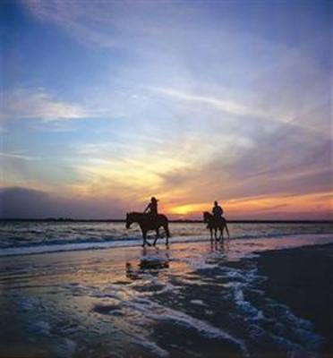 фото отеля Omni Amelia Island Plantation Resort