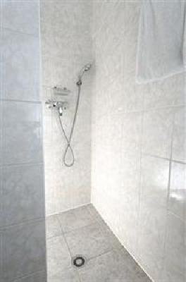 фото отеля Royal Hotel Grenoble