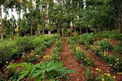 фото отеля Indus Valley Ayurvedic Centre Resort Mysore