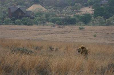 фото отеля Kololo Game Reserve