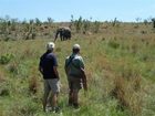 фото отеля Kololo Game Reserve