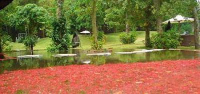 фото отеля Flamingo Dai Lai Resort