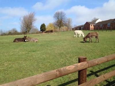 фото отеля Lumb Farm