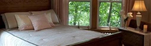 фото отеля Summit Inn Bed & Breakfast Center City
