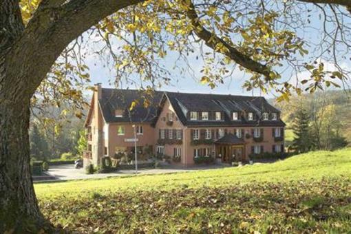 фото отеля Hotel Restaurant Des Vosges Birkenwald