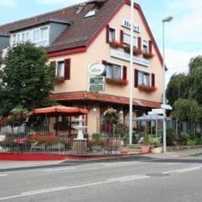 фото отеля Hotel Adler Aichelberg