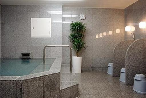 фото отеля Hotel Hokke Club Nigata Nagaoka