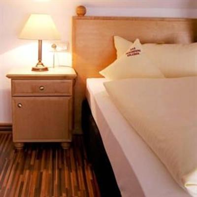 фото отеля Hotel Goldener Adler