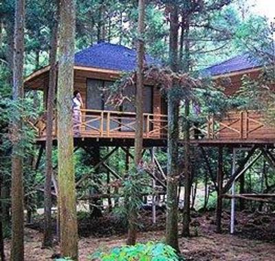 фото отеля ShangLiangGang Tourist Resort