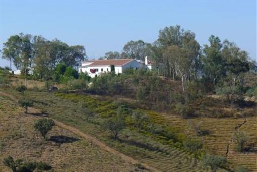 фото отеля Herdade De Vale Covo Hotel Mertola