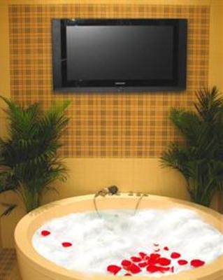 фото отеля Hotel Elysee Timisoara