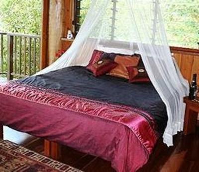 фото отеля Rose Gums Wilderness Retreat Eacham