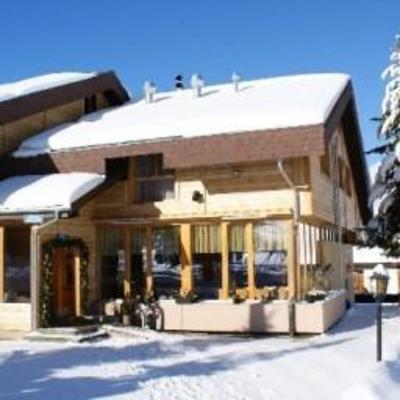фото отеля Hotel-Restaurant Ronalp