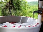 фото отеля Nambiti Hills Private Game Lodge