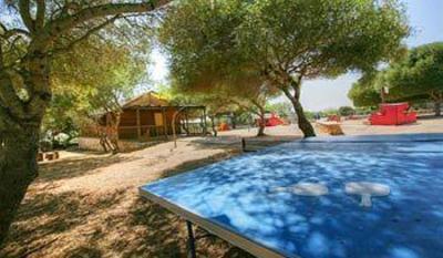 фото отеля Hotel Club Sur Menorca