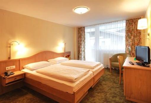 фото отеля Hotel Gruener Baum