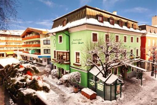 фото отеля Hotel Gruener Baum