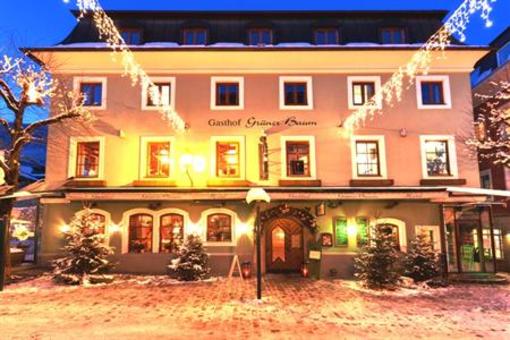 фото отеля Hotel Gruener Baum
