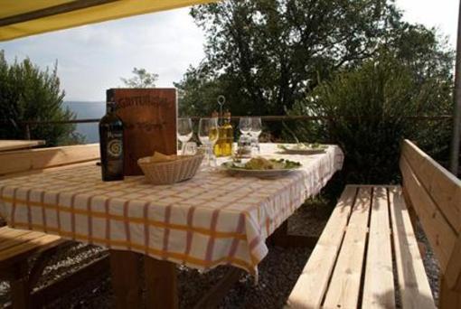 фото отеля Agriturismo Le Vigne
