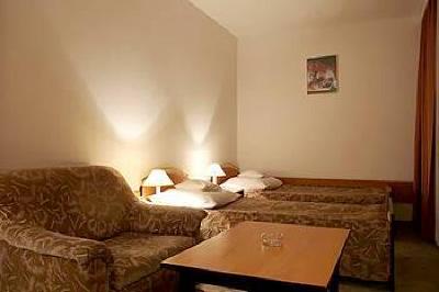 фото отеля Hotel Helios Zakopane