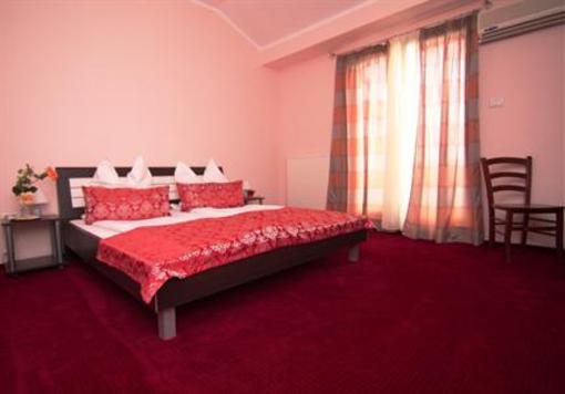 фото отеля Arta Hotel Timisoara