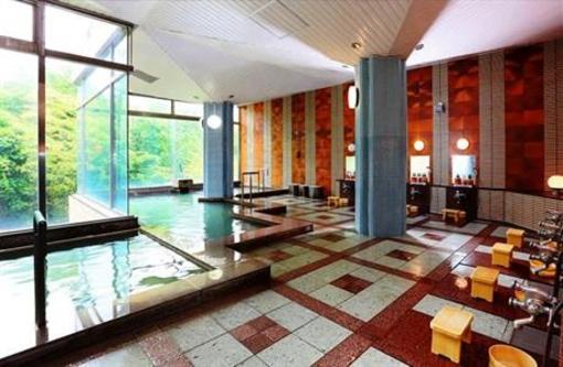 фото отеля Hotel Floracion Nasu