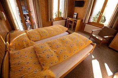 фото отеля Edelweiss Hotel Wengen
