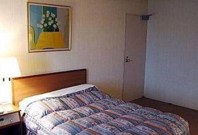 фото отеля Hotel Nikko Toyohashi